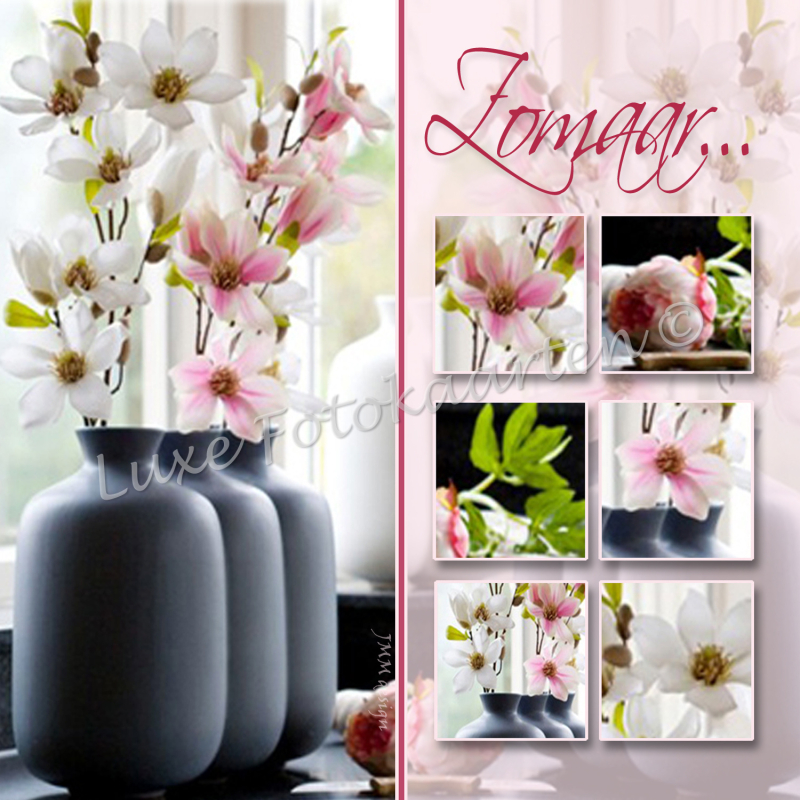 Blanco Zomaar - grijze potten